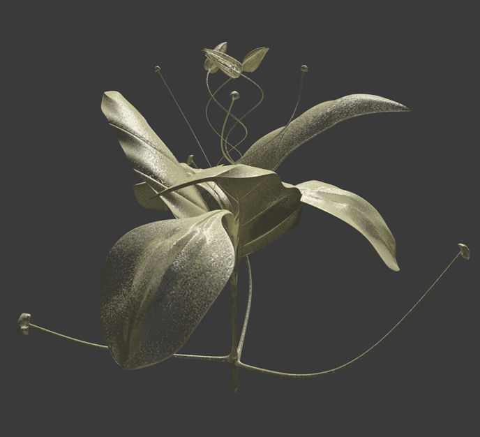 Digital Hybridization of plants